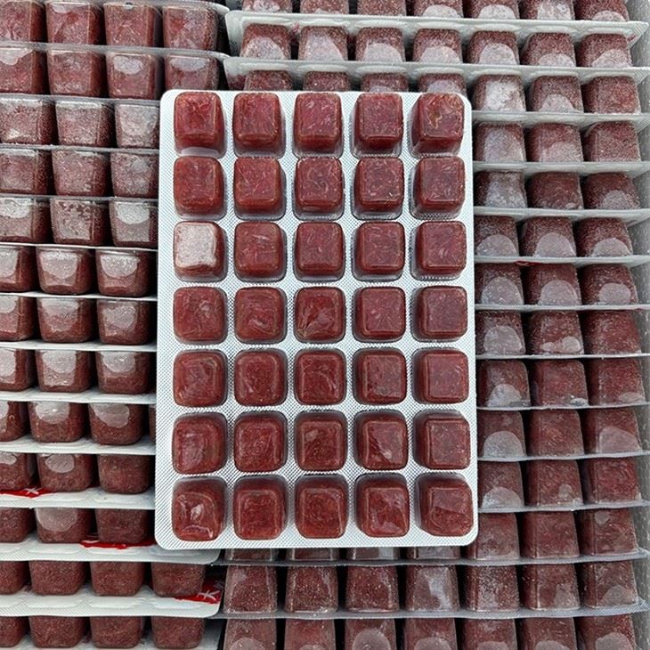 Frozen Bloodworms Food