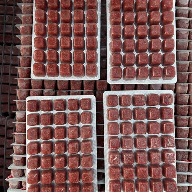 Frozen Bloodworms Fish Food