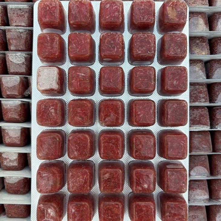Frozen Bloodworms 